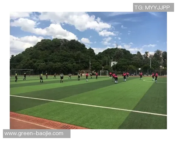 足球明星小猎豹的传奇人生与赛场风云全景阅读体验